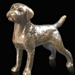 Border Terrier (2072)