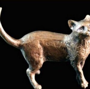 Cat Standing (2026)