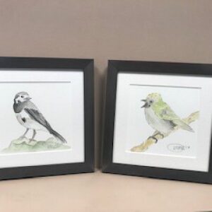 Kate Armstrong Art - Various Bird Watercolours (KAA01)